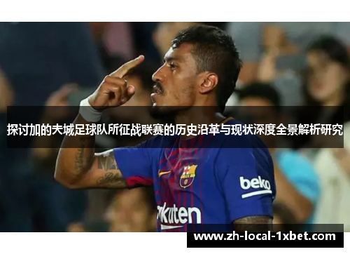 探讨加的夫城足球队所征战联赛的历史沿革与现状深度全景解析研究