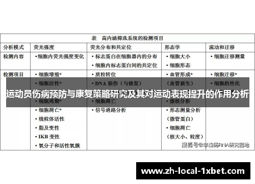 运动员伤病预防与康复策略研究及其对运动表现提升的作用分析